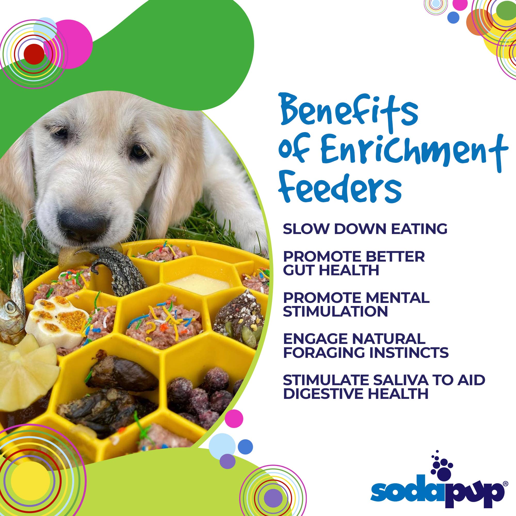 SodaPup Dog Toys - Honeycomb Design eBowl Enrichment Slow Feeder Bowl for Dogs: Blue